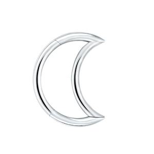 Yarım ay menteşeli cerrahi çelik Septum burun tıkırtı Segment çember burun halkası dudak kulak kıkırdak kulak burun halkası takı - Product Image 1