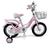 Vélo pour enfant avec roues d'apprentissage, panier avant, siège arrière, style princesse pour filles, jouet d'extérieur, cadeau sûr et stable pour l'apprentissage