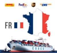 Service de transitaire maritime DDP/DDU de Chine vers le Ghana et la France, logistique Amazon avec assistance 24h/24 et 7j/7 pour les produits électroniques