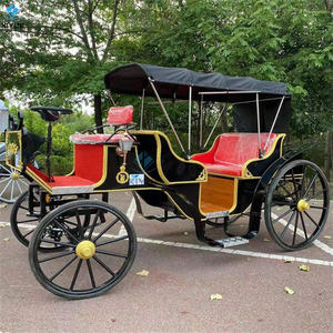 La princesse du cheval de la reine populaire monte un carrosse de mariage tiré par des chevaux de style royal européen pour des visites touristiques - Product Image 5