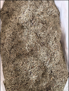 Venta al por mayor de hierba de caballo enana seca natural (Equisetum Arvense) para té de hierbas chino - Product Image 6