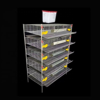 Offre Spéciale – Cage Commerciale à 5 Niveaux pour l'Élevage de Cailles Pondeuses – Cage à Batterie pour la Production d'Œufs