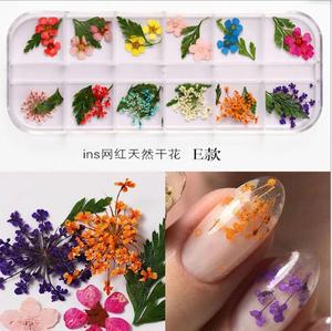 Autocollants professionnels fleurs séchées de bonne qualité, étiquette 3D, naturels, pour <span class=keywords><strong>Nail</strong></span> <span class=keywords><strong>art</strong></span>, 1 pièce - Product Image 4