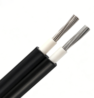 Câble solaire photovoltaïque en cuivre étamé de marque SZYL, directement de l'usine, isolation XLPE, gaine en PVC, ignifuge, résistant aux intempéries, 0,6/1 KV 1*10,0