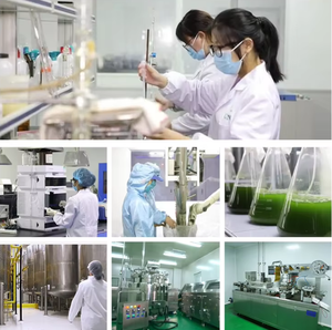 תוסף תזונה בכמוסות רכות של שמן קריל אנטארקטי OEM, מתאים למבוגרים, מסייע בשיפור תפקוד מערכת החיסון. - Product Image 6