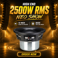 Woofer de Neodimio de 12 Pulgadas y 2500W RMS, Bobina de Voz de 6 Pulgadas, 102dB, Altavoz PA N40SH 70 FS para Line Array y Espectáculos en Vivo