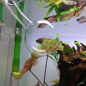 Sistema de CO2 para Acuario con Tubo de Salida Poppy y Tubo de Entrada Lily para Plantas y Peces - Product Image 6