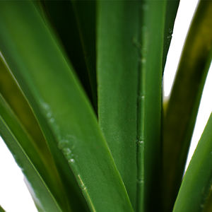 UV-bestendige, milieuvriendelijke kunstmatige agave woestijn <span class=keywords><strong>bonsai</strong></span> groen, realistische topiary boomdecoratie voor huis, Kerstmis en bruiloft - Product Image 4