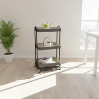 Table basse noire en bois et acier inoxydable, design moderne doré, avec rangement latéral, personnalisable, livraison rapide, pour commandes en gros, décorative