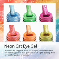 Vernis Gel Magnétique Effet Œil de Chat Néon 8 Couleurs Printemps-Été Marque Privée Sans TPO Sans HEMA Personnalisé 15ml