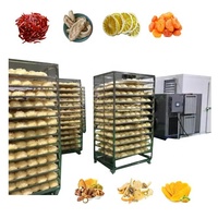 Sécheuse à air chaud pour fruits et légumes secs commerciaux de 500 kg, machine de déshydratation alimentaire à pompe à chaleur, armoire de séchage industrielle, vente