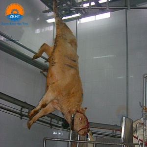 Ligne d'abattage de bovins halal clé en main, équipement de transformation de viande pour abattoir, machine d'abattage, usine chinoise - Product Image 2
