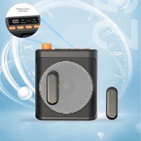 Microphone cravate amplifié Bluetooth avec batterie intégrée, haut-parleur haute puissance pour l'enseignement en classe et l'utilisation en extérieur, petit micro en forme d'abeille
