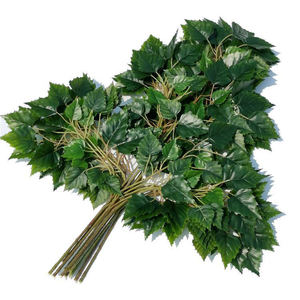 Rama de Ficus Artificial de Plástico, Ramas de Árbol de Ficus con Tacto <span class=keywords><strong>Real</strong></span>, Hojas de Ficus Verdes para Decoración - Product Image 6