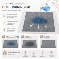 Tapis d'apprentissage pour chiens en charbon de bambou écologiques avec noyau à absorption rapide, réduction des odeurs et base imperméable – Fournisseur OEM