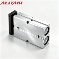 Cylindre pneumatique à double tige série TN ALITAIR avec ou sans aimant – Fournisseurs de vérins pneumatiques à piston série TN