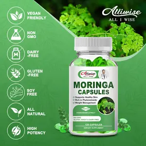 Grosir OEM 60 buah suplemen Herbal kapsul ekstrak daun Moringa organik