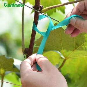 Cinta de <span class=keywords><strong>PVC</strong></span> GARDMATE de 40mx12mm para Reparación de Plantas, Plantas Trepadoras, Flores, Jardín y Enjuelos - Product Image 2