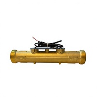 Compteur d'eau ultrasonique résidentiel DN25 à raccord fileté, protection IP68, corps de capteur en laiton personnalisable OEM