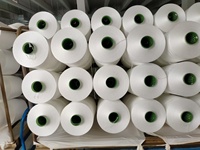 Fil de polyester 100% DTY haute ténacité, traité à la vapeur, pour fil chenille