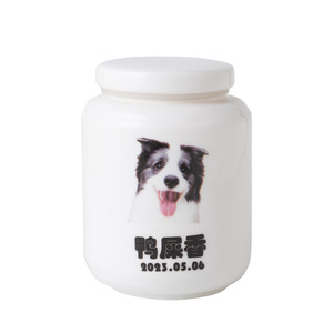 Custom Ceramic Pet <b>Urn</b> For <b>Cats</b> Dogs With Personalized Design Cremation Memorial Storage Teeth Hair - Product Image 2