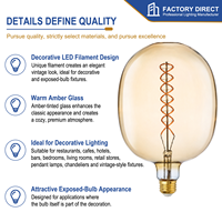 Ampoule LED à filament surdimensionnée DG170 de haute qualité, 7W, E26 E27, 2200K, verre ambré, dimmable, lampe Edison vintage pour hôtel, restaurant