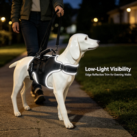 Attelle dorsale pour animaux de compagnie OEM ODM avec ressorts métalliques intégrés en néoprène pour la prévention des blessures vertébrales et de la spondylose, attelle dorsale pour chien