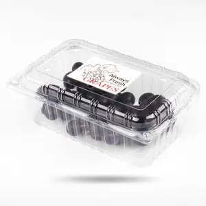 Fourniture de récipient alimentaire jetable en rPET pour fruits frais myrtille fraise boîte d'emballage de fruits en plastique PET transparent pour raisins