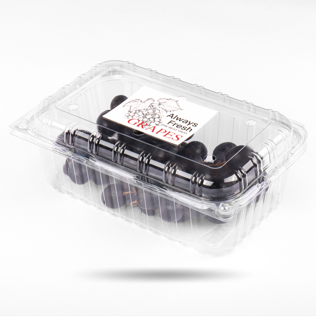 Supply Disposable RPET Fresh Fruit Blueberry Strawberry Food Container Transparent PET Plastic Grapes Fruit Packaging Box
