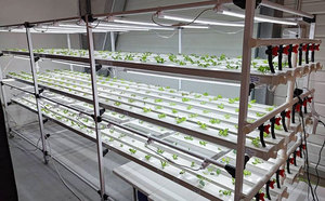 Système de culture hydroponique verticale NFT pour laitues en serre, avec canaux en PVC pour légumes-feuilles (blanc) - Product Image 3