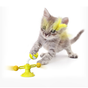 Nuovo Arrivo: Giocattolo Interattivo per Gatti con Palla a Molla in TPR Ecologico - Divertente e Resistente Gioco per Gatti per Gioco e Esercizio al Chiuso - Product Image 6