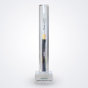 Cable de <span class=keywords><strong>Fibra</strong></span> Óptica IP TCP de 24 Núcleos Autoportante Reforzado con FRP de Fábrica ADSS para FTTX/Internet - Product Image 2