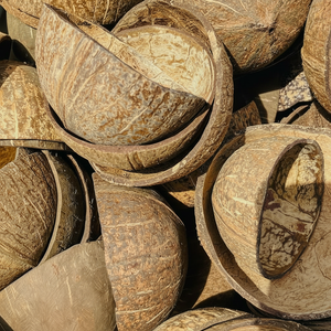 Cuenco decorativo de cáscara de coco Natural 100% marrón, cáscara de coco Natural, olla ovalada, cáscaras de coco, ángulo de etiqueta privada - Product Image 1