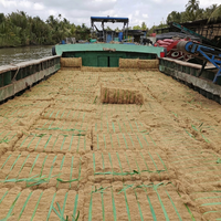Fibre de coco dorée brune en gros, longueur 5-25 cm, 24 % d'humidité, 3 % d'impuretés, matériau propre, rembourrage de matelas, marque Tan Hoi