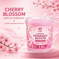Nouvelles perles de parfum pour lessive 5LB, best-seller aux États-Unis, directement de l'usine, parfum longue durée, REACH CE OEM ODM, échantillon gratuit