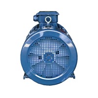 Moteur asynchrone triphasé haute puissance Sunwei 55kW/75KW/90KW/110KW/132KW/160KW personnalisable, encastré, IP54/IP55/IP56