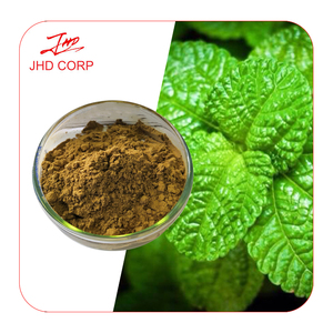 Vendita calda naturale solubile in acqua estratto di menta in polvere estratto di foglie di menta piperita - Product Image 3
