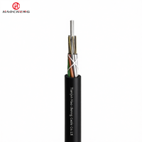 Cable de Fibra Óptica para Exteriores GYTY de 2-144 Hilos SM/MM con Membra Central de Acero para Larga Distancia, No Autoportante, para Instalación Aérea