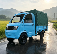 Mini camionnette électrique EEC EV 3500W, 4 roues, mini camion pour fermes et transport commercial