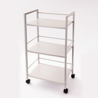 Chariot de cuisine moderne à 2 niveaux en fer avec roulettes, chariot utilitaire roulant, support de rangement multifonction écologique pour condiments