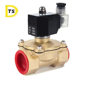 High Quality 2w copper series Brass gas valve NC/NO Solenoid Valve