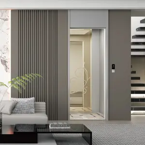 Elevador de seguridad para casa residencial, elevador pequeño de alta calidad con nuevo diseño