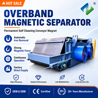 Überband-Magnetabscheider für Kunststoffrecycling Permanenter Förderband-Magnetabscheider mit Selbstreinigungssystem