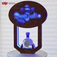 TERMEIN Présentoir personnalisé en acrylique pour bouteille unique, Glorificateur de bouteille de brandy à LED avec rétroéclairage néon