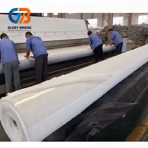 Geomembrana de HDPE/LDPE Antifiltraciones, Antipunciones, Duradera e Impermeable para Vertederos, Estanques de Residuos y Proyectos de Alcantarillado, Garantía de <span class=keywords><strong>5</strong></span>+ Años - Product Image 3