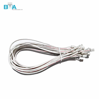 Kabel Harness 2Pin 2.0mm Pitch Stripped Tinned UL2468 26AWG 300mm untuk Interkoneksi Sinyal Perangkat Elektronik Internal