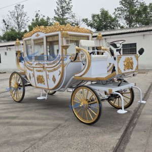 Calèche royale pour défilés urbains, calèche électrique de luxe - Product Image 6