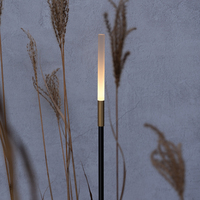 Alta calidad al aire libre Navidad jardín césped paisaje acrílico y acero 24V 1W 2W LED caña luz con punta