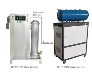 OGP generatore di ozono industriale di alta qualità in acciaio purificatore per piscina e trattamento delle acque reflue con pompa e motore