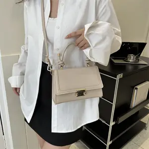 Best Selling New Style Ladies Crossbody Bag 2024 Contrasting Color Unique Handbag Women'S Luxury Handbag